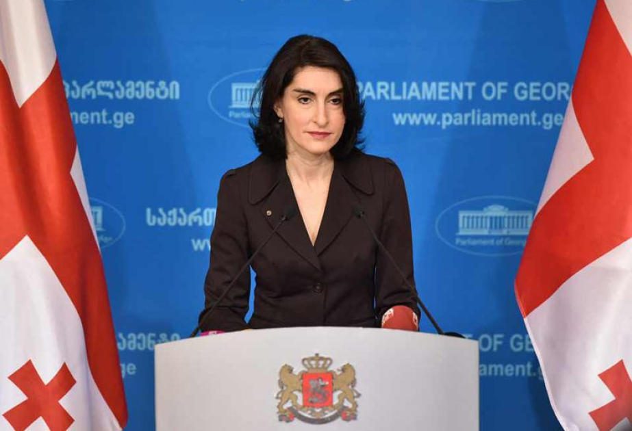 Maka Boçorişvili: Gürcüstan müxalifəti hakimiyyətə qarşı ictimai narazılığı artırmaq üçün hər şeyi edir