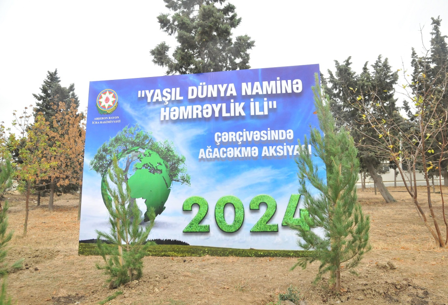 Abşeron rayonunda 16 mindən çox ağac əkiləcək