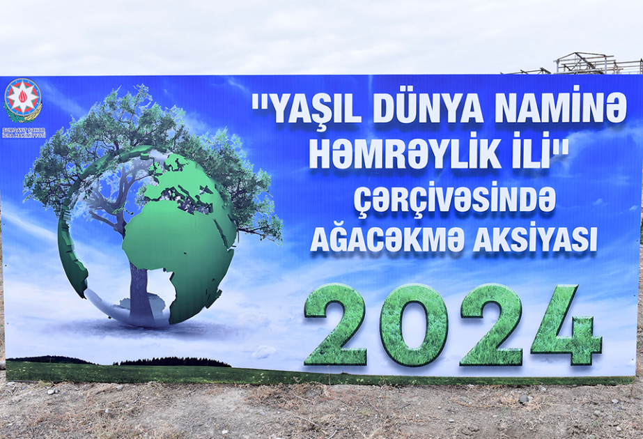 Sumqayıtda noyabrın əvvəlinədək 300 min ağac əkiləcək