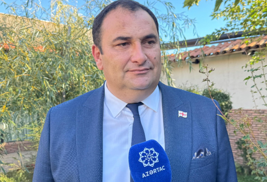 Zurab Musayev: Gürcüstan seçkilərdən sonra da demokratiya prinsiplərinə uyğun inkişaf edəcək