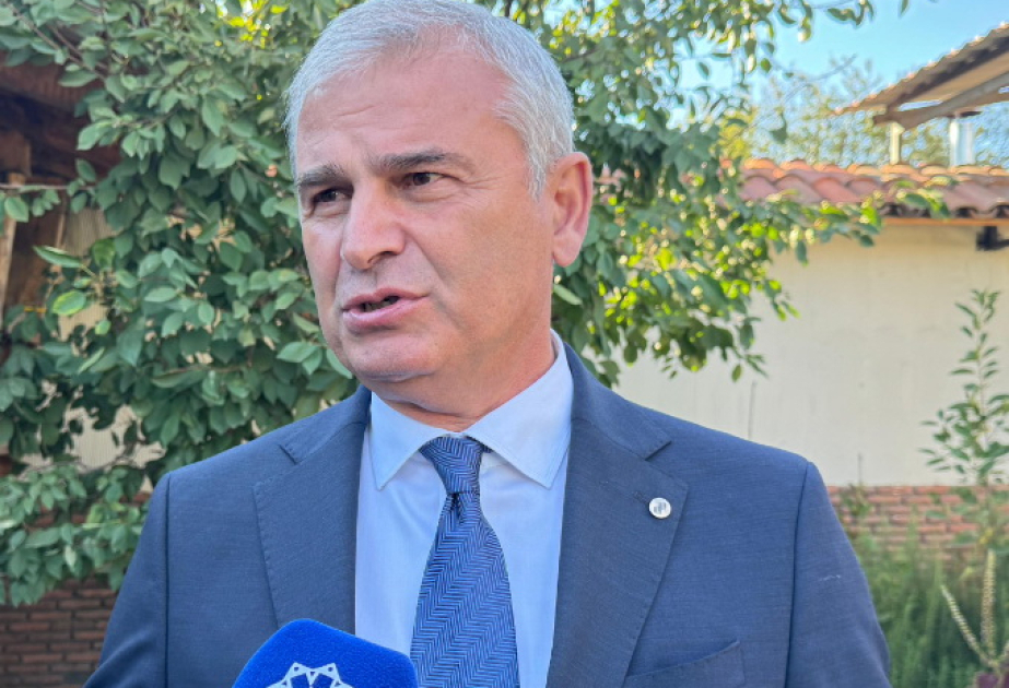 İrakli Kadaqişvili: Qərb dövlətlərinin bəyanatları Gürcüstanın suveren hüquqlarının kobudcasına pozulmasıdır