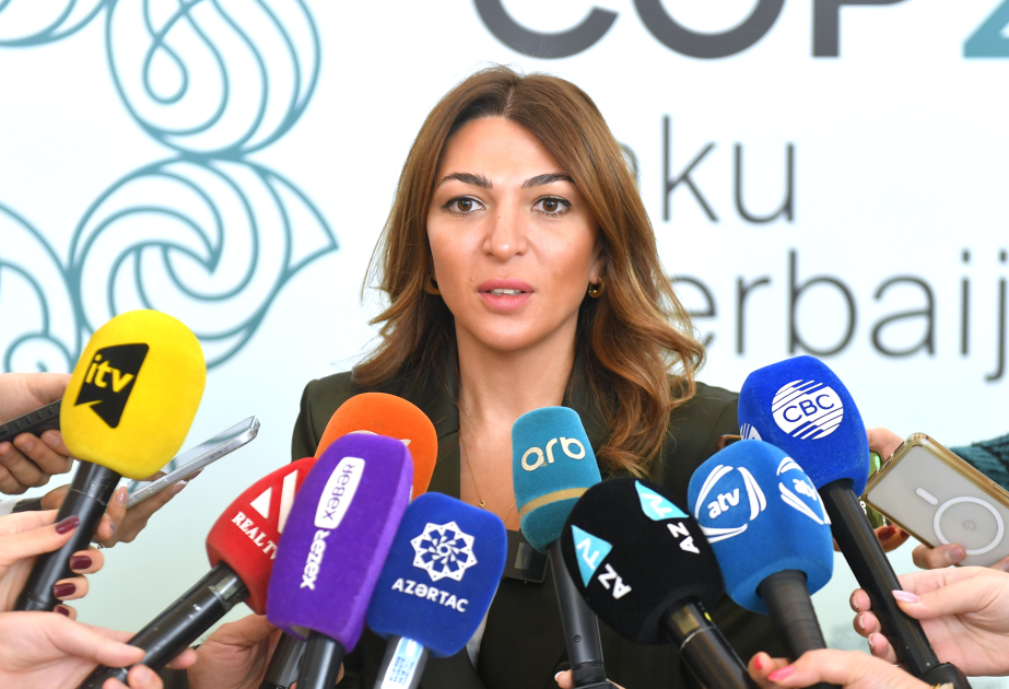 COP29: Mavi Zona üzrə 3 minə yaxın jurnalist qeydiyyatdan keçib