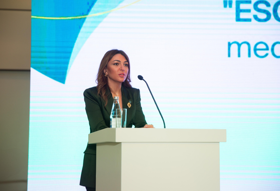 Ayan Nəcəf: COP29 danışıqlarının mövzularının sadələşdirilməsi, şəffaf şəkildə geniş kütləyə çatdırılması medianın rolunu daha önəmli edir