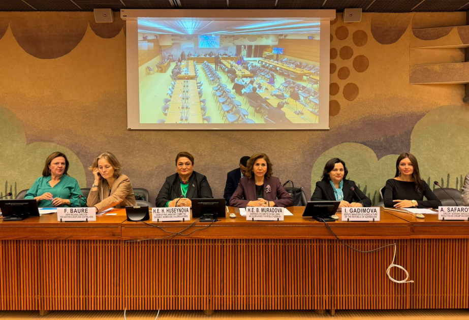 Geneva hosts side event on gender equality development and women's economic empowerment