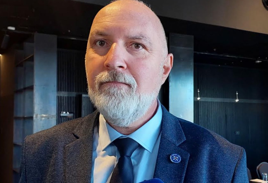 Gürcü professor: Seçki kampaniyasının sakit mühitdə keçməsi müxalifətin passivliyi ilə əlaqədardır