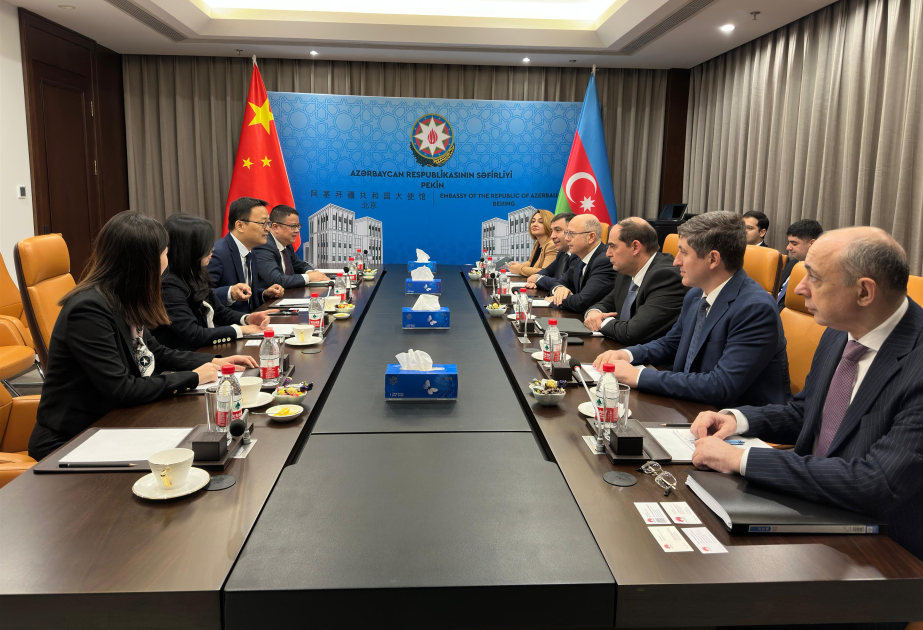Pekín debate ampliar la cooperación con empresas chinas en el campo de la energía verde