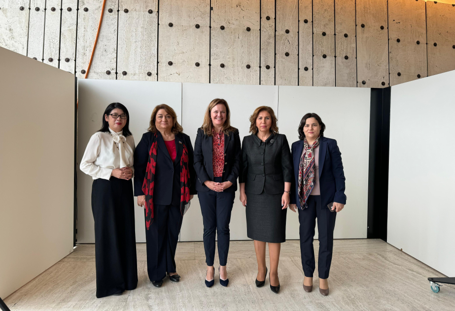 Qadın hüquqları və gender bərabərliyi sahəsində Azərbaycan ilə BMT arasında əməkdaşlıq məsələləri müzakirə edilib