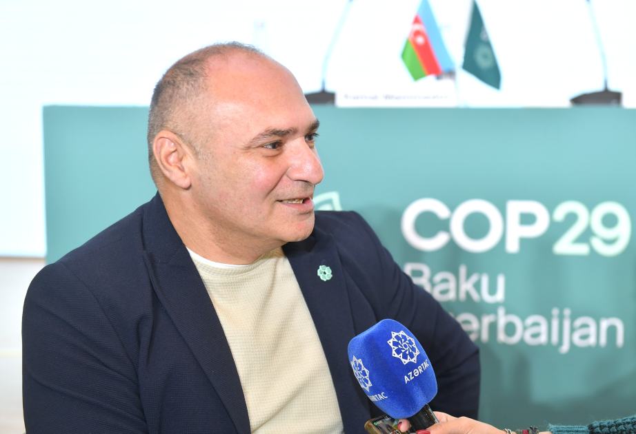 COP29-da müyəssərlik və inklüzivlik öhdəlikləri hansı formada təmin olunacaq?