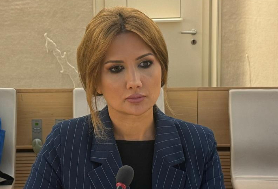 BMT-nin məlum dörd qətnaməsindən ikisində Qərbi azərbaycanlıların qayıdışı ilə bağlı əsaslar var - Ülviyyə Zülfiqar