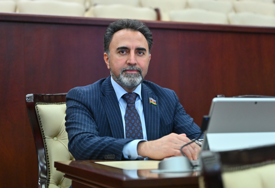 Avropa Parlamentində Azərbaycanla bağlı səsləndirilən qərəzli fikirlər ölkəmizə qarşı qarayaxma kampaniyasının tərkib hissəsidir -  RƏY