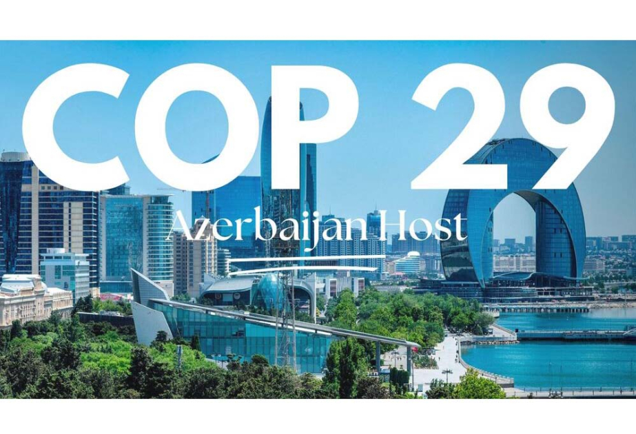 At COP29 we will be pushing for an ambitious finance goal for climate aid - UK's Foreign, Development and Commonwealth Office - AZERTAC