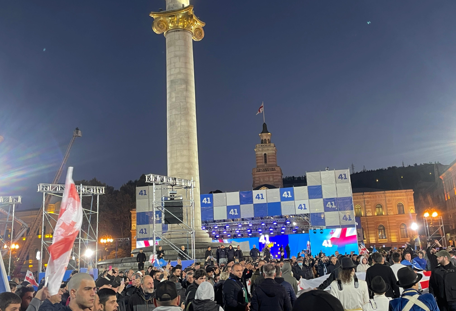 Hakim “Gürcü Arzusu-Demokratik Gürcüstan” partiyası Tbilisidə aksiya keçirib