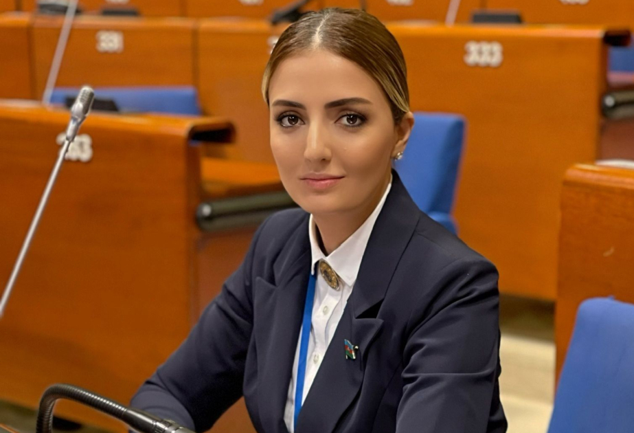 Qərbin Azərbaycana qarşı qarayaxma kampaniyalarının heç bir nəticəsi olmayacaq  ŞƏRH