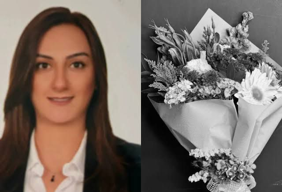 Türkiyə terrorçuluğa qarşı mübarizəyə bir əsrdən artıq vaxt sərf edən nadir ölkələrdəndir