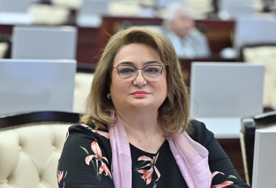 Avropa Parlamentinin qəbul etdiyi qətnamə Azərbaycanı haqlı mübarizədən çəkindirə bilməyəcək -  ŞƏRH