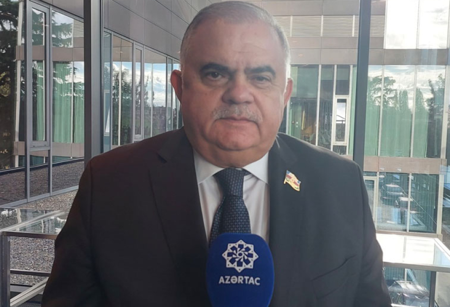 Arzu Nağıyev: Gürcüstanda parlament seçkilərinin azad və demokratik keçiriləcəyinə inanırıq