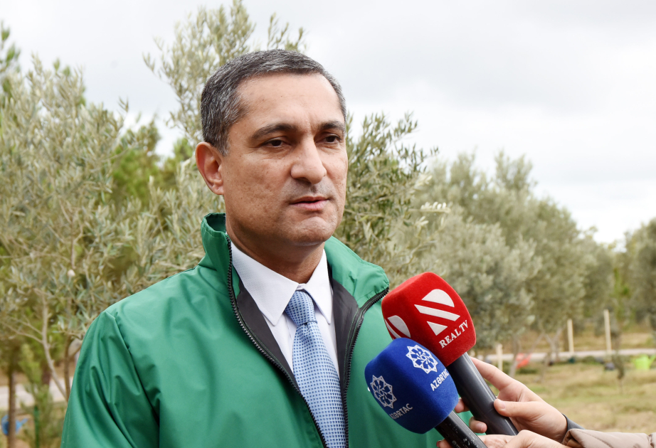 Soltan Məmmədov: Ölkəmizdə ağacəkmə aksiyaları ilə bağlı təşəbbüslər ənənə halını alıb