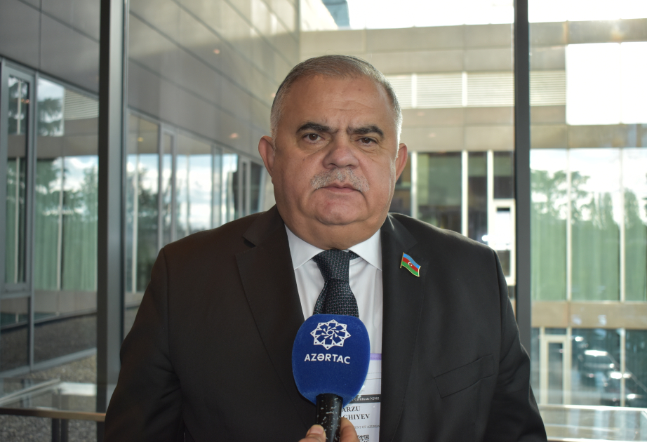 Deputat: Gürcüstanda seçkilər bütün beynəlxalq standartlara uyğun keçirilib