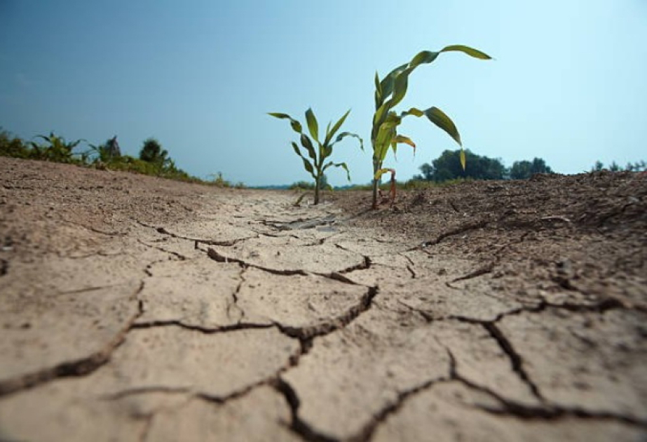 Impacts of drought in Azerbaijan: How does it harm the country? How can it be prevented? What is the international experience? –  IMPORTANT STUDY FROM YOUNG RESEARCHERS