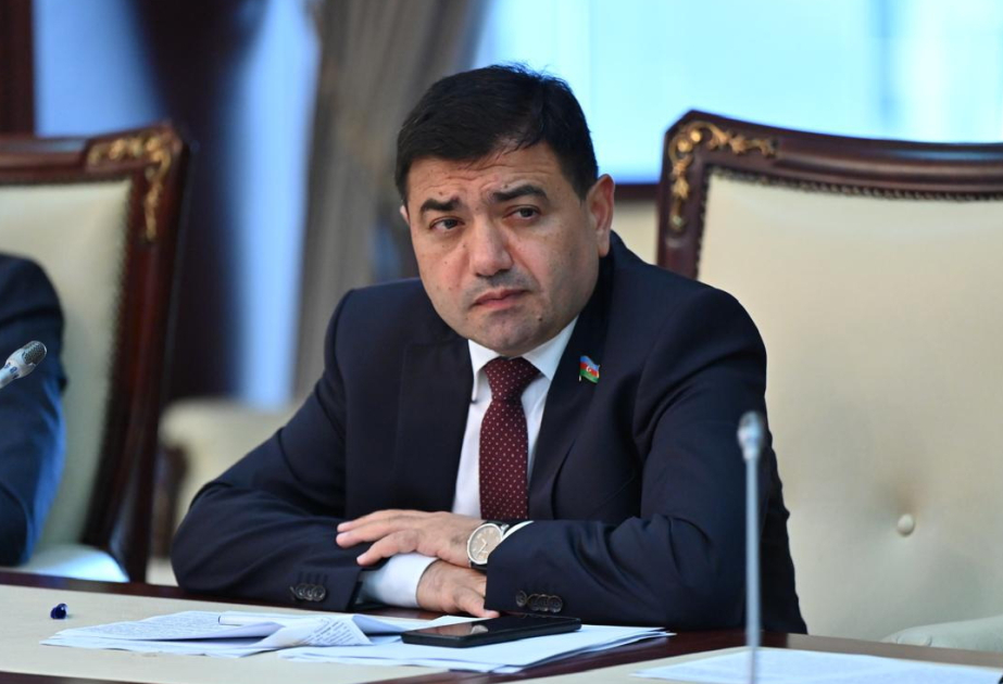 Deputat: Fransanın Ermənistanı silahlandırması həm də erməni xalqına qarşı düşmənçilikdir