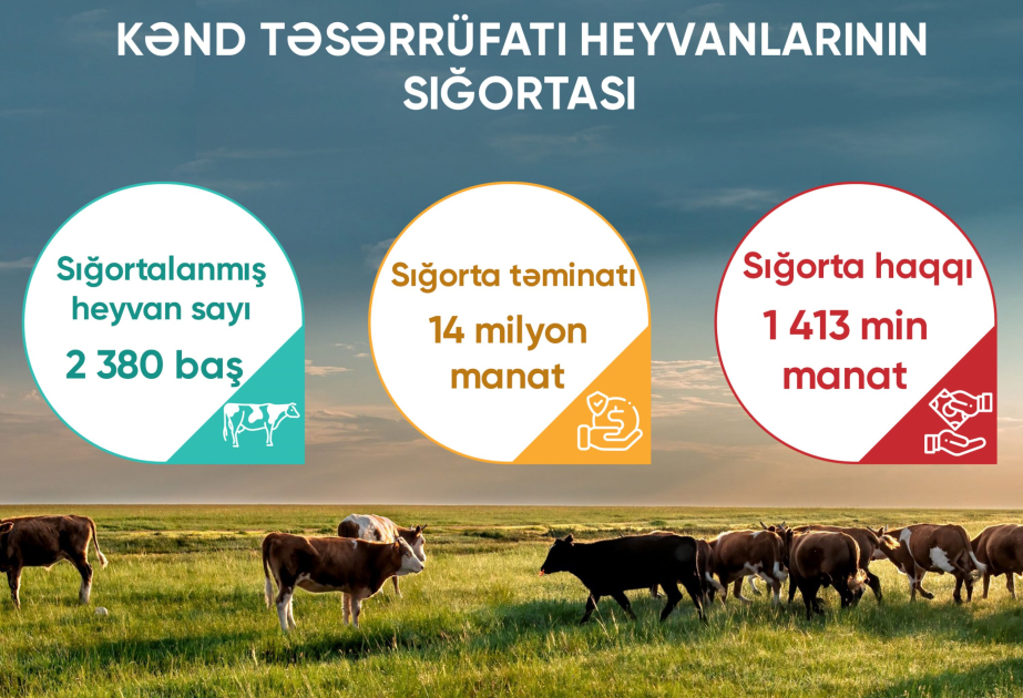 Bu ilin doqquz ayında Azərbaycanda 405 min 604 hektar əkin sahəsi sığortalanıb