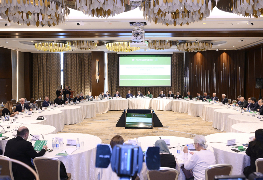 “Əqli mülkiyyət və innovasiyalar yaşıl gələcək naminə (COP29-a doğru)” mövzusunda dəyirmi masa keçirilib  YENİLƏNİB VİDEO