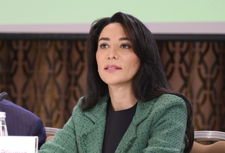 Səbinə Əliyeva: Əqli mülkiyyət hüquqlarının qorunması bir sıra fundamental hüquqların təmininə də imkan yaradır VİDEO