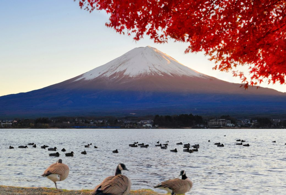 Tras un caluroso verano, no hay nieve en el monte Fuji