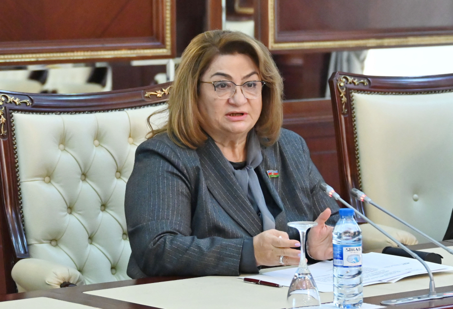 Hicran Hüseynova: Ölkəmizdə insan hüquq və azadlıqlarının qorunması daim diqqət mərkəzindədir