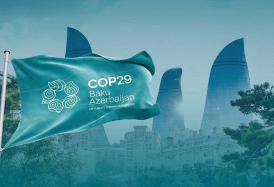 Началась выдача аккредитационных карт участников COP29