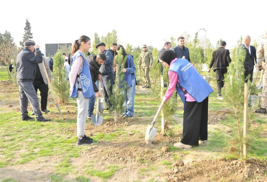 Abşeron rayonunda “Yaşıl dünya naminə həmrəylik ili” çərçivəsində ağacəkmə aksiyası keçirilib