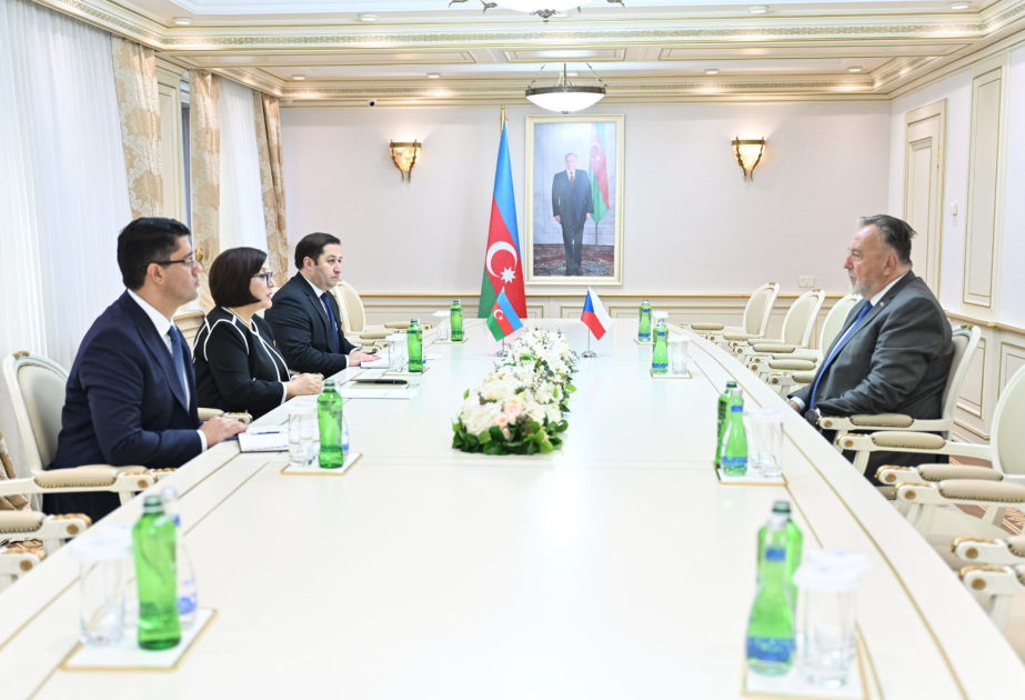 Milan Sedlaçek: COP29 iqlim dəyişikliyi ilə bağlı qlobal əməkdaşlığın gücləndirilməsinə mühüm töhfə verəcək