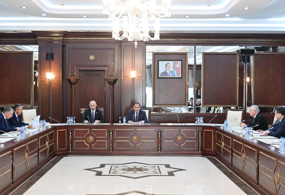 Milli Məclisin İqtisadi siyasət, sənaye və sahibkarlıq komitəsinin iclası keçirilib