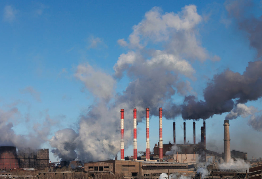 Банк России: Москва может использовать площадку COP29 для сближения с азиатскими партнерами