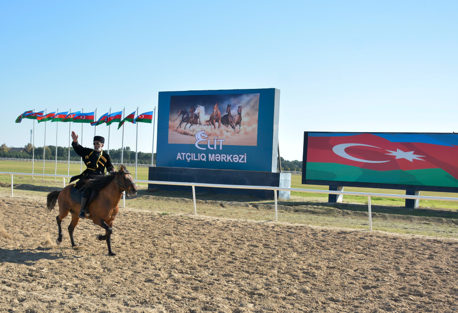 Bakıda yorğa atların ölkə çempionatı və cıdır yarışlarının qalibləri müəyyənləşib