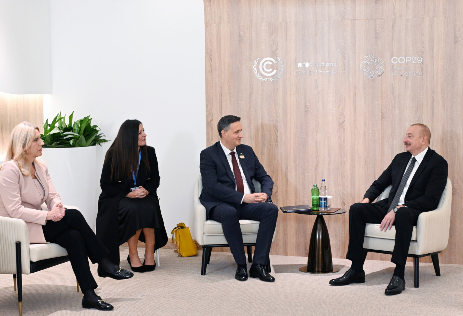President Ilham Aliyev met with Chairman and member of the Presidency of Bosnia and Herzegovina VIDEO