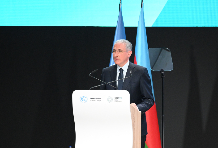 Presidente de la COP29: "Queda mucho por hacer para resolver los problemas climáticos"