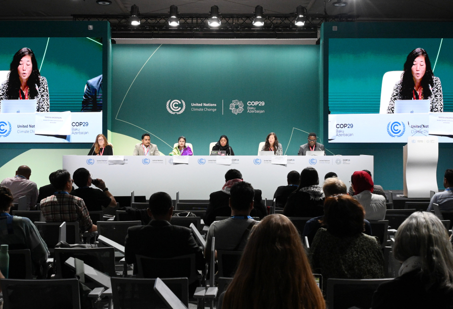 “COP29 is a testing ground for strengthening efforts towards a habitable planet”