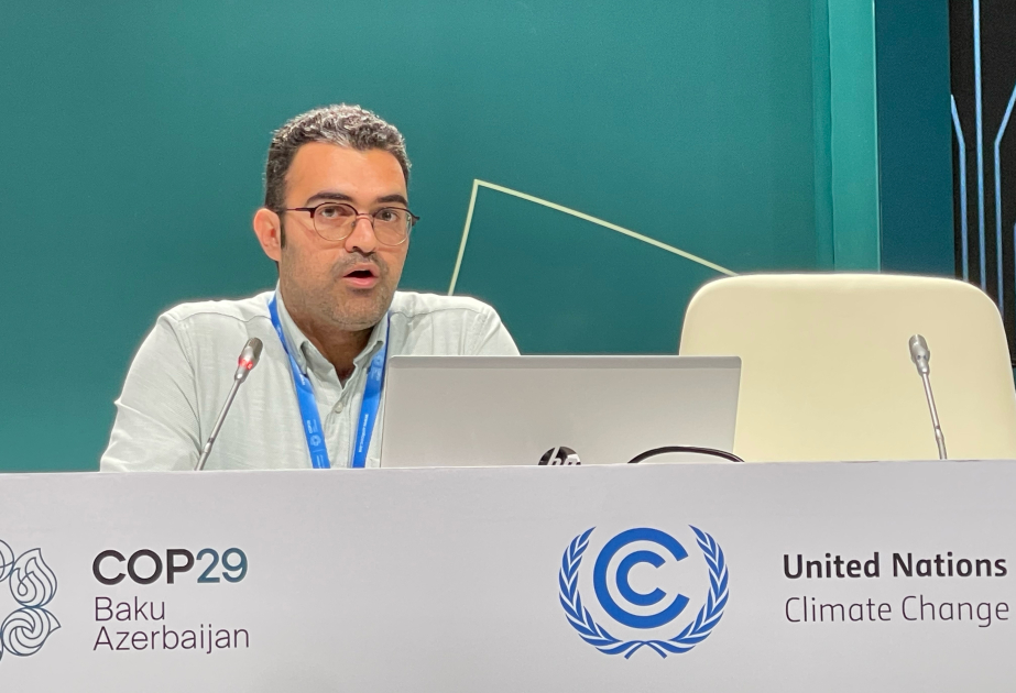 COP29 iştirakçılarına gənclərin iqlim siyasətində roluna dair məruzə təqdim edilib