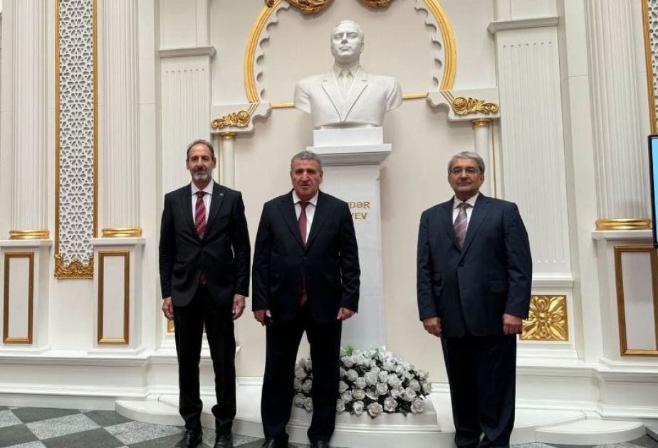 Beynəlxalq Elmi Şuranın baş icraçı direktoru AMEA-da olub