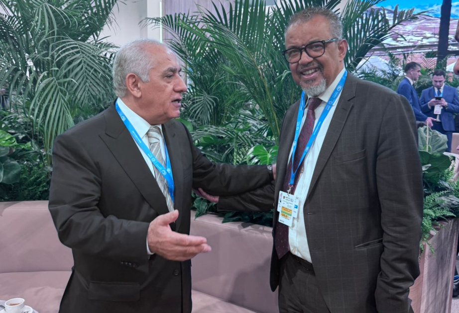 El Primer Ministro Ali Asadov se reunió con el Director General de la Organización Mundial de la Salud