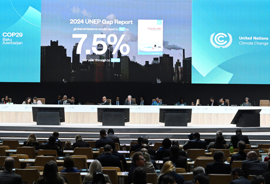 После церемонии открытия Саммит лидеров COP29 продолжил свою работу первым пленарным заседанием