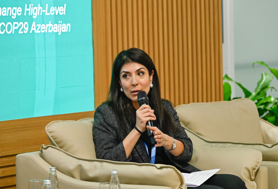 Nigar Arpadarai: Biz qadınları özəl sektorda görmək istəyirik