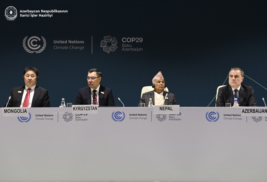 Jeyhun Bayramov highlights importance of mountains for biodiversity at COP29 high-level dialogue