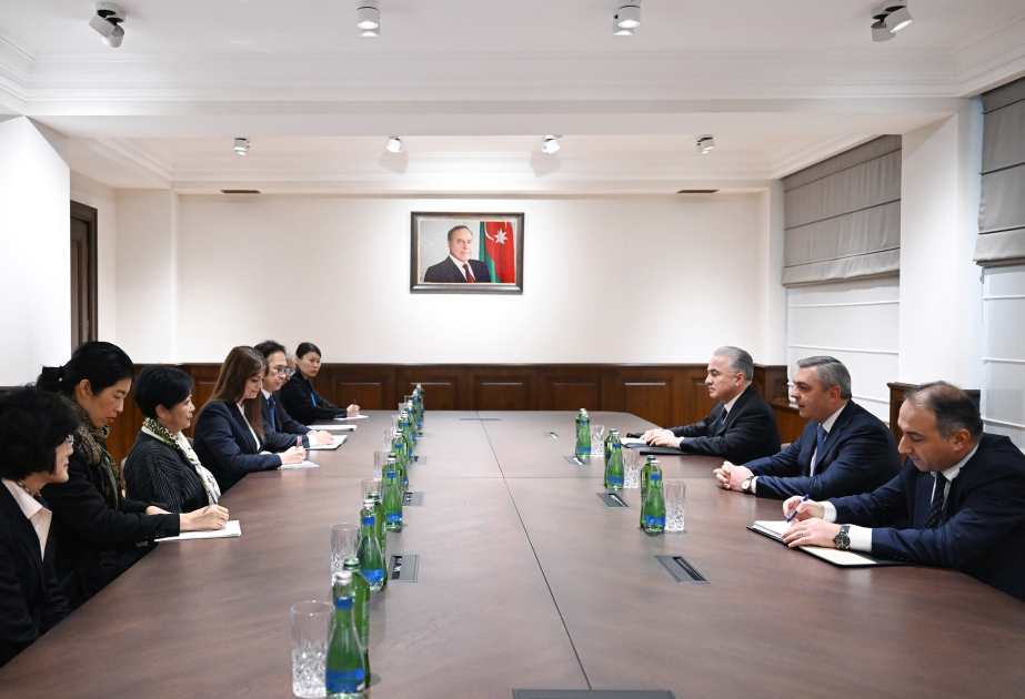 Head of Presidential Administration of Azerbaijan Samir Nuriyev meets with delegation led by Tokyo Governor