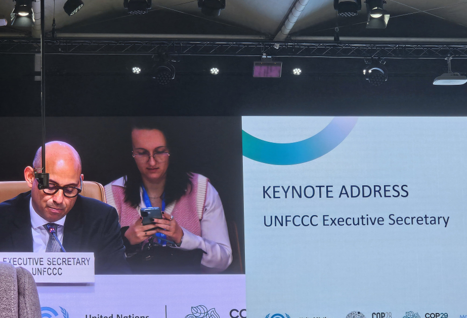 UNFCCC-in icraçı katibi: İqlim dəyişmələrinə qarşı mübarizədə hərtərəfli yanaşma olmadan hədəfə nail ola bilmərik