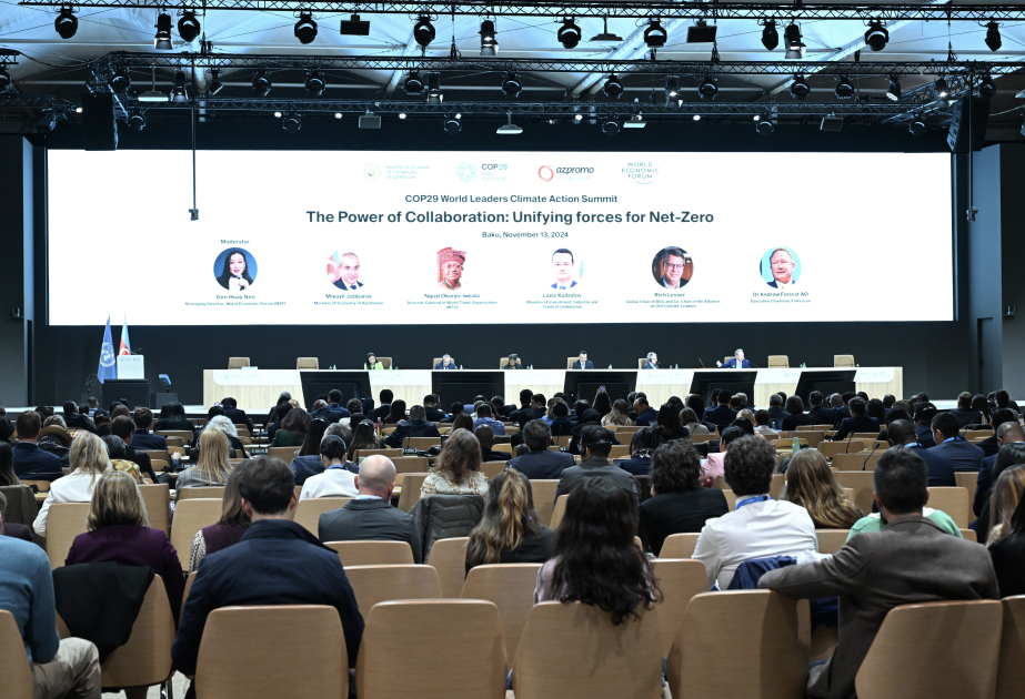 Une session de haut niveau intitulée « Force de la coopération : efforts conjoints en faveur du net zéro » tenue dans le cadre de la COP29