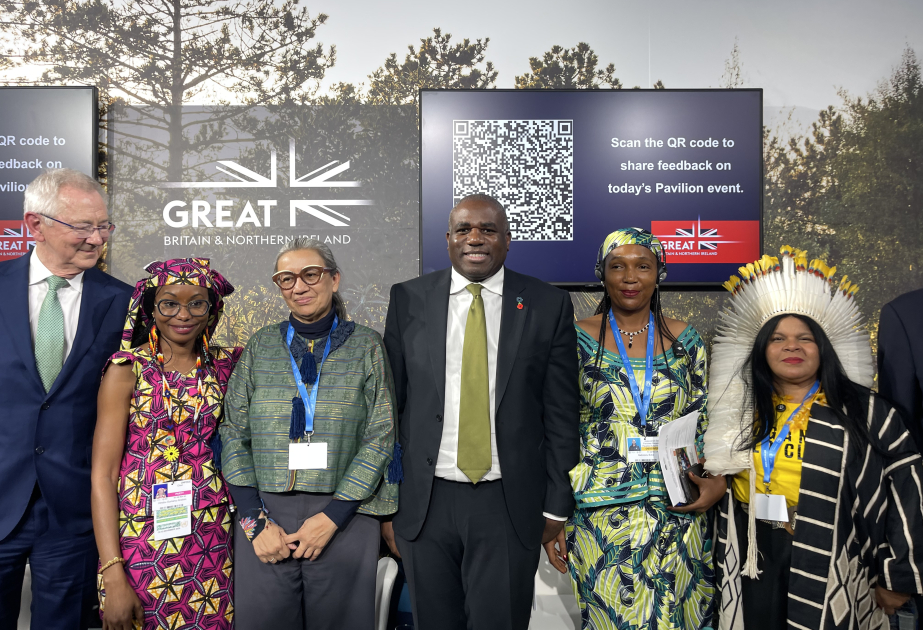 David Lammy: Less than 1% of climate funding went to forest protection last year