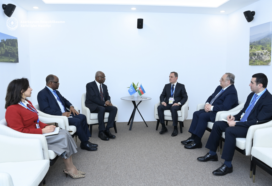 Se debatió la cooperación entre Azerbaiyán y la ONU, así como cuestiones relacionadas con la presidencia del país en la COP29