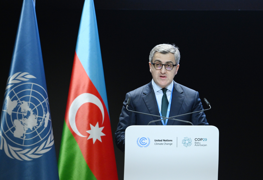 В рамках COP29 запущена Климатическая платформа для бизнеса, инвестиций и благотворительности ВИДЕО